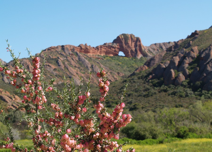 Afbeelding van Westkaap   Oudtshoorn   Red Stone Hills 29