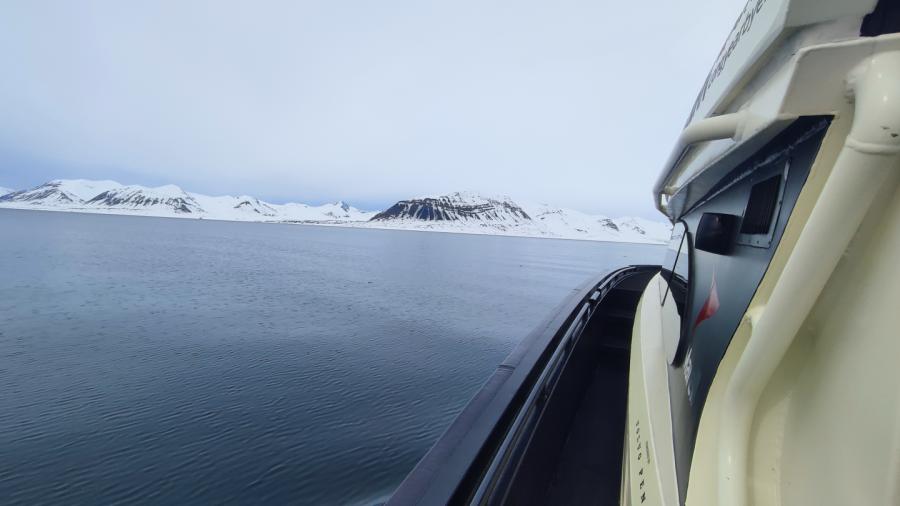 Longyearbyen Walrussafari