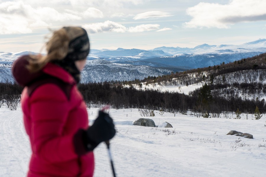 Afbeelding van Sneeuwschoenwandelen Rondane Dagr 1