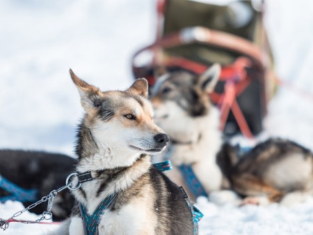 3 Bijzondere Overnachtingen Noors Lapland Noorderlicht Reis Luna 8