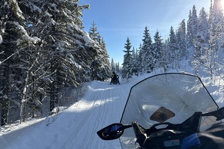 8 Daagse Winterreis Eila Incl Activiteitenin Vuokatti