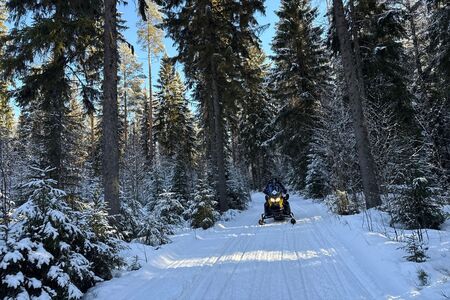 8 Daagse Winterreis Eila Incl Activiteitenin Vuokatti