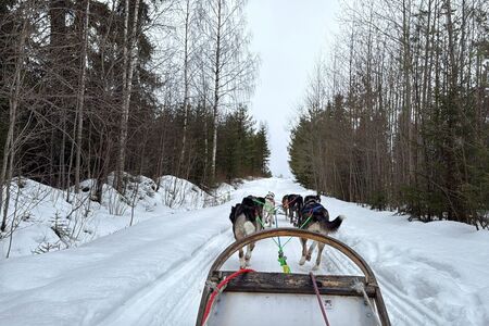 8 Daagse Winterreis Eila Incl Activiteitenin Vuokatti