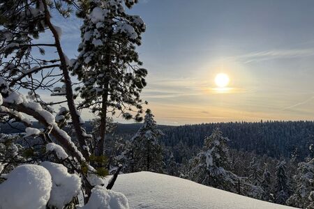 8 Daagse Winterreis Eila Incl Activiteitenin Vuokatti