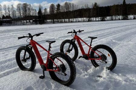 8 Daagse Winterreis Eila Incl Activiteitenin Vuokatti