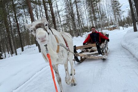 8 Daagse Winterreis Eila Incl Activiteitenin Vuokatti