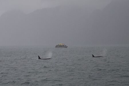 Actieve Groepskampeerreis Sedna De Mooiste Plekjes Van Alaska  Cape Tracks