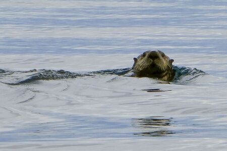 Actieve Groepskampeerreis Silla Centraal  En Zuid Alaska  Cape Tracks