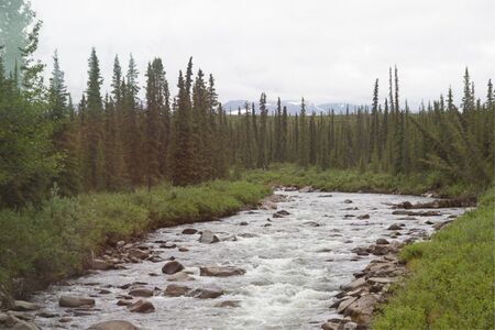 Actieve Groepskampeerreis Silla Centraal  En Zuid Alaska  Cape Tracks