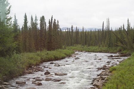 Actieve Groepskampeerreis Silla Centraal  En Zuid Alaska  Cape Tracks