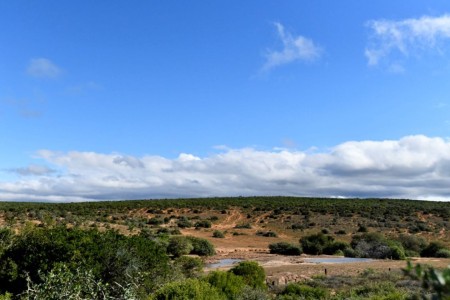 Addo Restcamp Rondavel Uitzicht