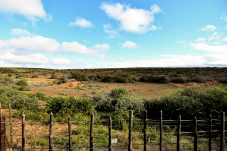 Addo Restcamp Uitzicht Safari Tent