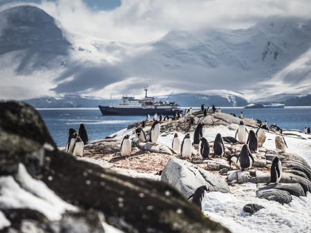 Antarctica Basecamp Ortelius Pinguins Oceanwide Expeditions Dietmar
