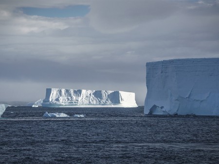 Antarctica Reizen Zuid Georgie Falklands Oceanwid Expeditions Dietmar Denger 5
