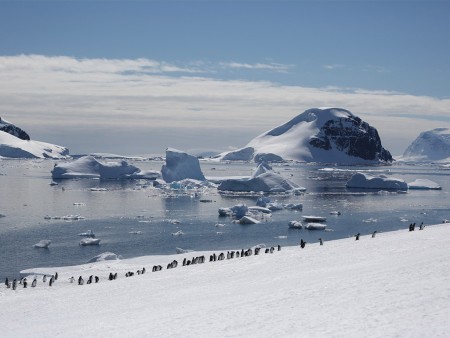 Antarctica Vakantie Oceanwide Expeditions 4