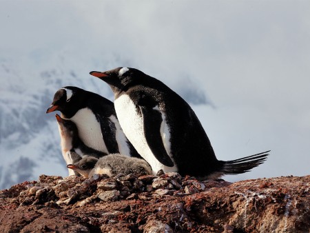 Antarctica Vliegen Over Drake Passage Quark 3 Copy