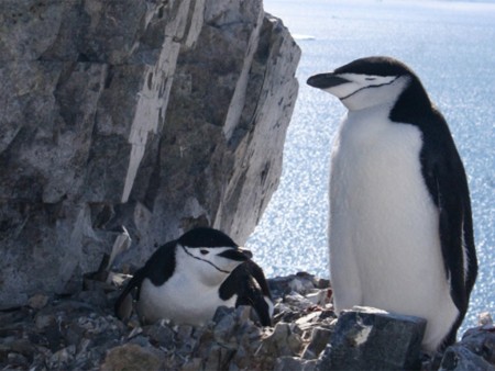 Antarctica Vliegen Over Drake Passage Quark 6 Copy