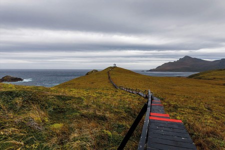Antarctisch Schiereiland Bezoeken QuarkExpeditions AdobeStock 131661697 Credit BloodyOrange