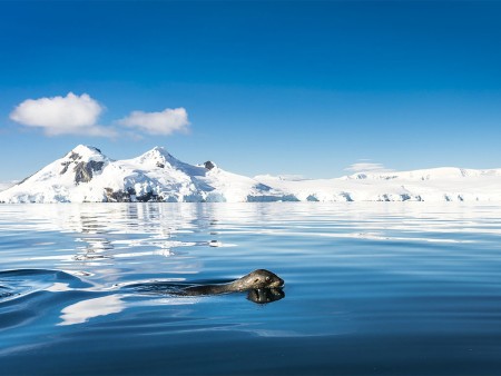 Antarctisch Schiereiland Zuidelijke Shetland Eilanden Oceanwide Expeditions 5