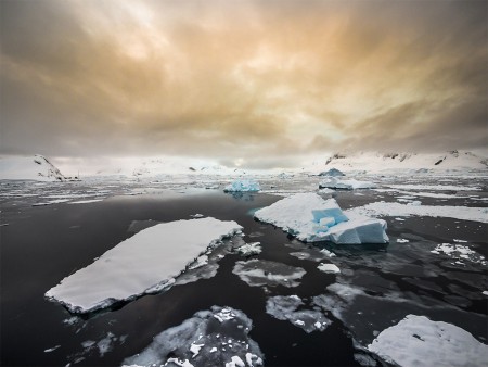 Antarctisch Schiereiland Zuidelijke Shetland Eilanden Oceanwide Expeditions 6