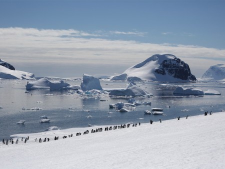 Antarctisch Schiereiland Zuidelijke Shetland Eilanden Oceanwide Expeditions 9