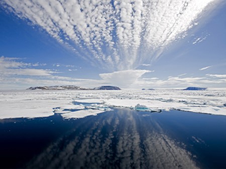 Arctische Lente Spitsbergen Oceanwide Expeditions 8