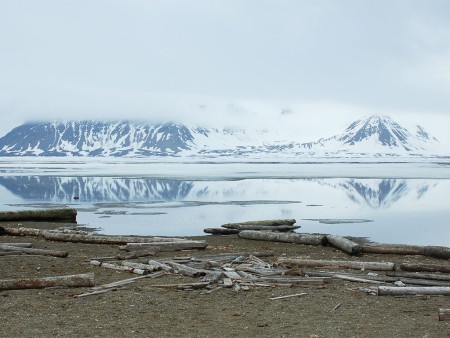 Arctische Lente Spitsbergen Oceanwide Expeditions 9