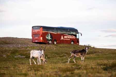 Arkin Openbaar Vervoer Magne Ha%CC%8Aheim Lofoten