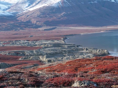 Aurora Borealis Spitsbergen Groenland Oceanwide Expeditions 1