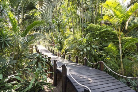 Avalone St Lucia Wandelpad Tuin