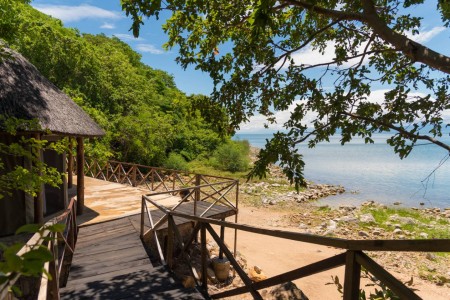 Blue Zebra Island Lodge Pad