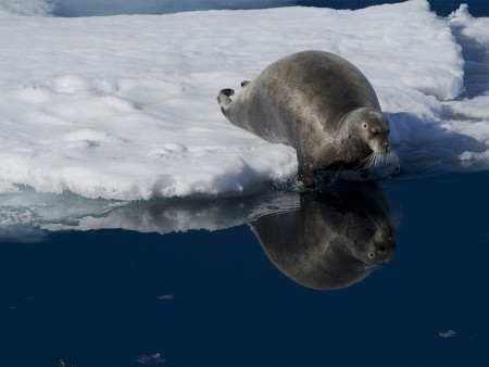 Boot Spitsbergen Oceanwide Expeditions 3