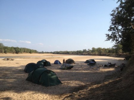 Buffalo Camp 05