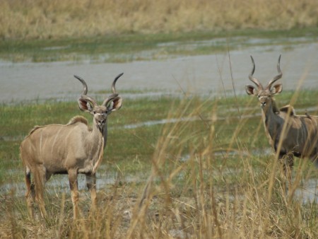 Bwabwata National Park