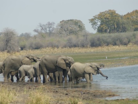 Bwabwata National Park