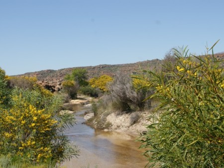 Cederberg