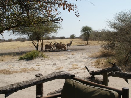 Central Kalahari Haina Safari Lodge