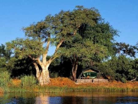 Chobe Linyanti Campsite 04