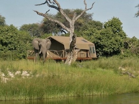 Chobe Savuti Campsite 01