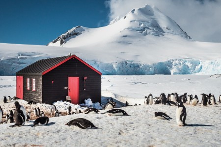 Cruise Antarctisch Schiereiland Antarctica%2C Port Lockroy %C2%A9 Dietmar Denger Oceanwide Expeditions Jpg Dietmar
