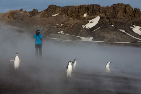 Cruise Antarctisch Schiereiland South Shetland Islands Rolf