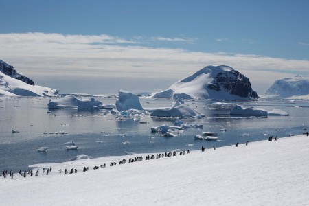 Cruise Antarctisch Schiereiland Typical Antartica Peninsula With Penguins And Icebergs %C2%A9 Jeremy King   Oceanwide Expeditions Jeremy King