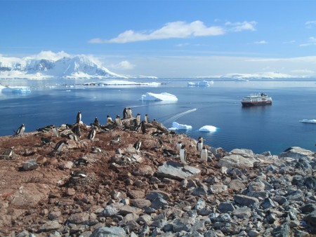 Cuverville Island Hurtigruten Arnau Ferrer Copy