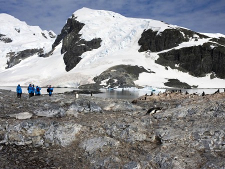 Cuverville Island Hurtigruten Camille Seaman Copy