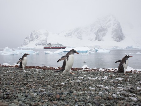 Danco Island Hurtigruten Nick Cobbing Copy