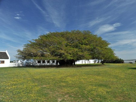 De Hoop Vlei Cottages