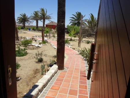 Desert Breeze 11