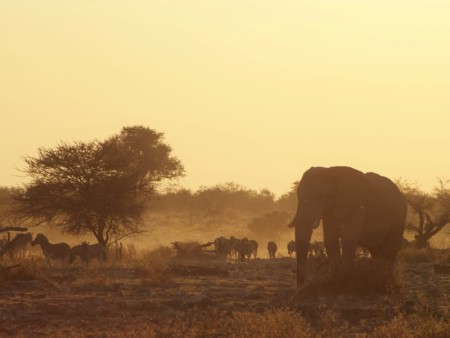 Etosha Park