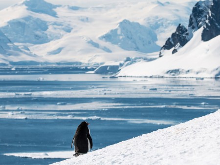 Expeditie Antarctica Basecamp Ramon Lucas