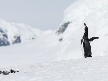 Expeditie Antarctica Basecamp Ramon Lucas